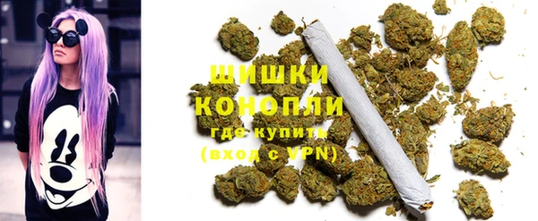 прущие грибы Струнино