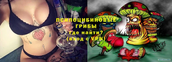 сатива Верхнеуральск